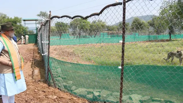 কুনো ন্যাশনাল পার্কে চিতা দর্শনে প্রধানমন্ত্রী মোদী