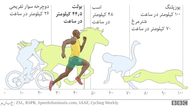 سرعت بولت در مقایسه