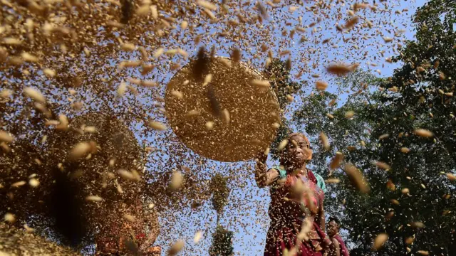 આદીવાસી ખેડૂત