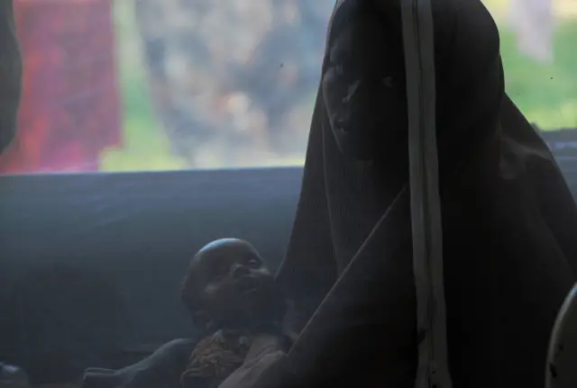 ብሕማም ዓሶ ዝተጠቕዐት