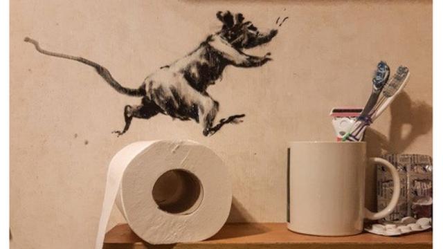 老鼠在厕所纸卷上跳来跳去，挤牙膏也很好玩