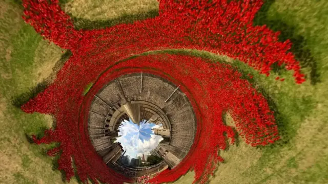 藝術家曾用陶瓷製作的罌粟花展