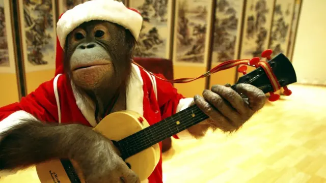 Homiladorlik paytida jinsiy aloqa qilish mumkinmi?