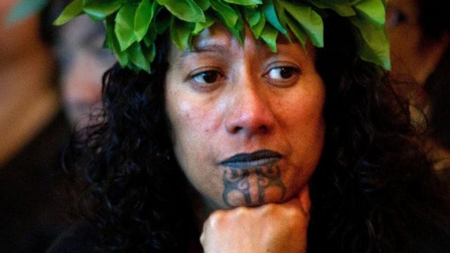 maori with tongue out with traditional facial tattoo (moko) and authentic  costume, new zealand model release available - SuperStock