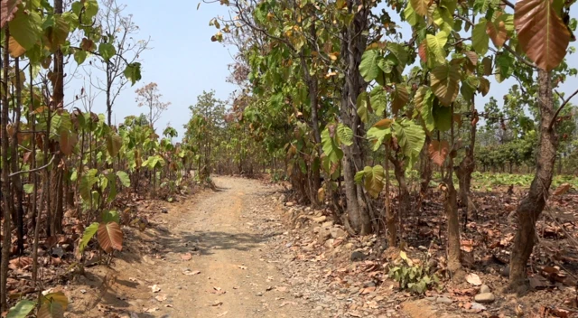 म्यांमार, भारत