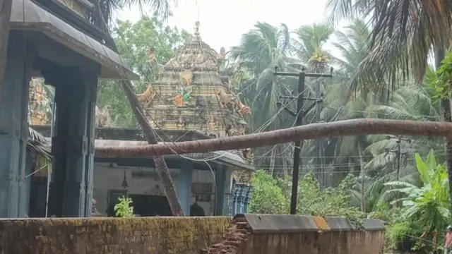 కాకినాడ జిల్లా కాజులూరు లో ఆలయ మండపంపై కూలిన కొబ్బరిచెట్టు