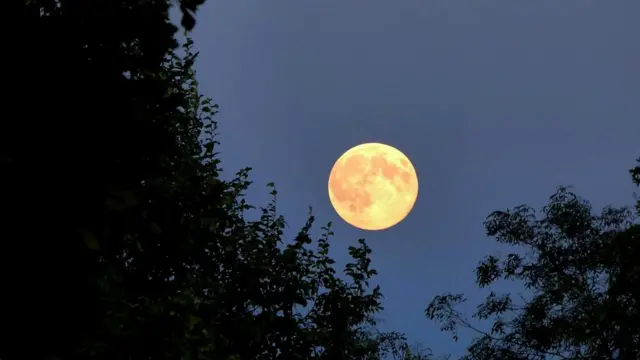 В полнолуние чаще снятся сцены насилия… Или это просто жуткое совпадение?