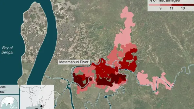 সাগর বা নদী তীরবর্তী এলাকার নারীদের মধ্যে গর্ভপাতের হার বেশি