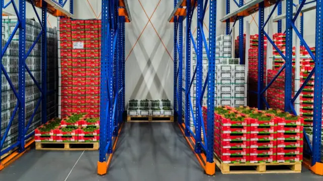 फलों सब्ज़ियों का भंडारण