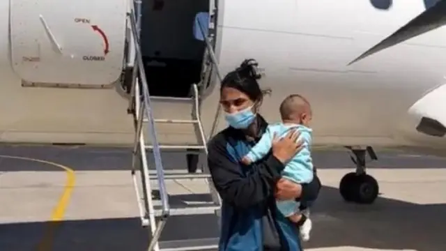 क्रिकेट