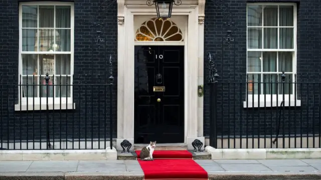 Даунинг-стрит и кот Ларри