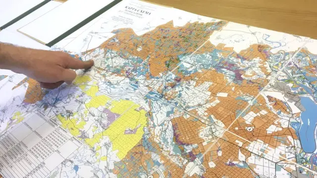 Зона вирубки