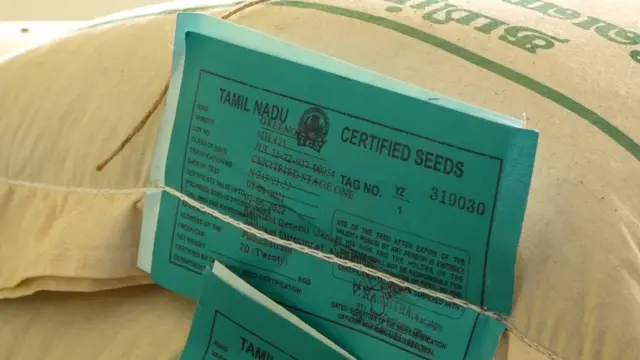 விதைப்பண்ணை