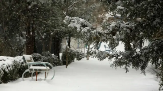 اولین برف در هرات