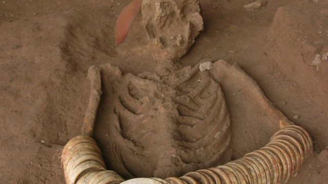 โครงกระดูกที่แหล่งโบราณคดีบ้านโนนวัด หลายร่างมีไก่ฝังรวมอยู่ด้วย