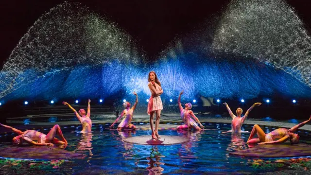 Сцена из шоу Le Reve