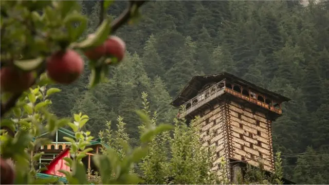 હિમાચલ પ્રદેશમાં ચેહની એકમાત્ર ગામ છે જ્યાં બધા જ ઘરો કાઠકુની છે