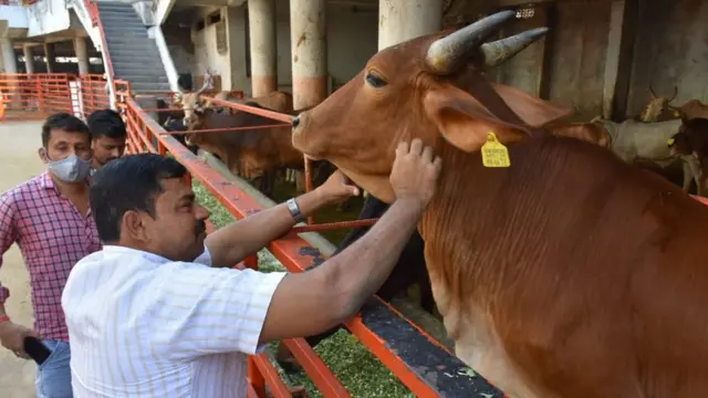 రాజా సింగ్
