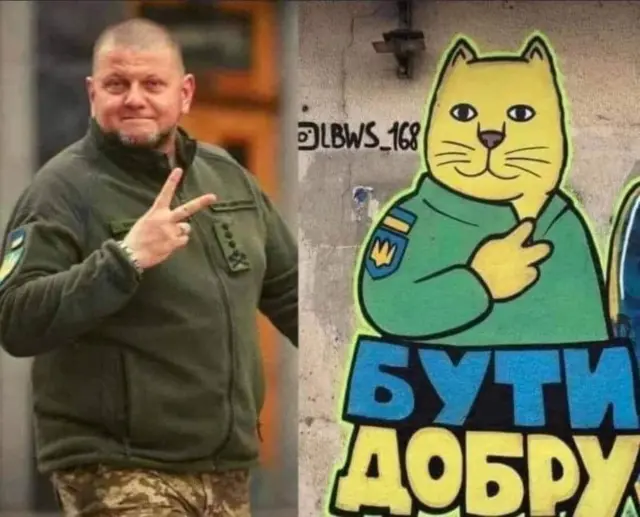 Валерій Залужний колаж