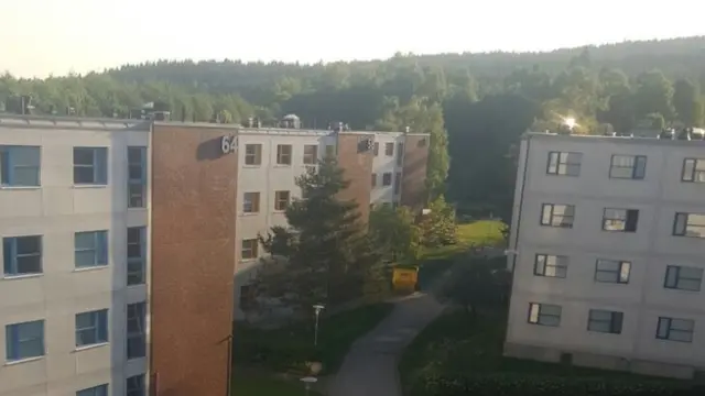 'ኣብ ገዛይ ኮይነ ብመሽኮት ዝርእዮ ተኽልታት ሓጎስን ዕረፍትን ይህበኒ'