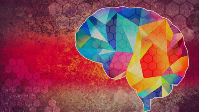 Cerebro en colores