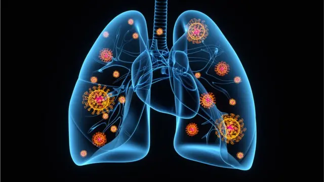 Asta-sekin onlayn katta azo kirib