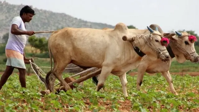 விவசாயிகள்