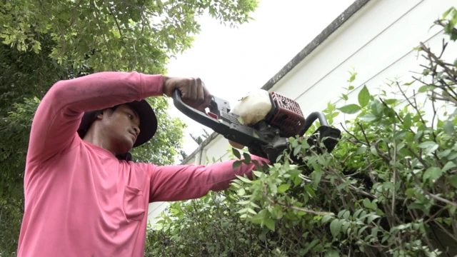 แรงงานกัมพูชา