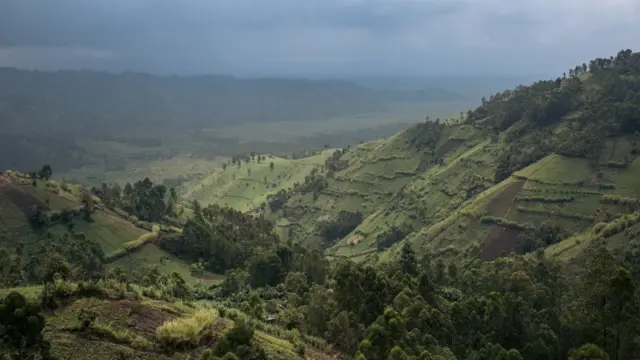 Los cultivos que colindan con el parque nacional de Virunga, en la República Democrática del Congo