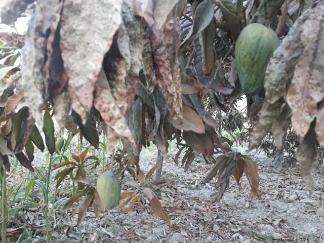 سیستان و بلوچستان