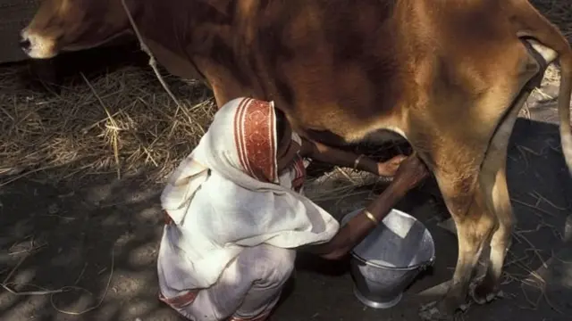 বাংলাদেশের অনেক নারীরা খামার করে থাকেন।