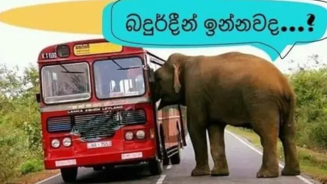 රිෂාඞ් බදුර්දීන්ව මෙතෙක් අත්අඩංගුවට නොගැනීමට සමගම සමාජ මාධ්‍යයේ සටන් වී අටහි අයුරු