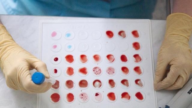 анализы крови