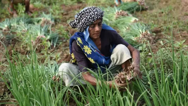 પ્રતીકાત્મક તસવીર