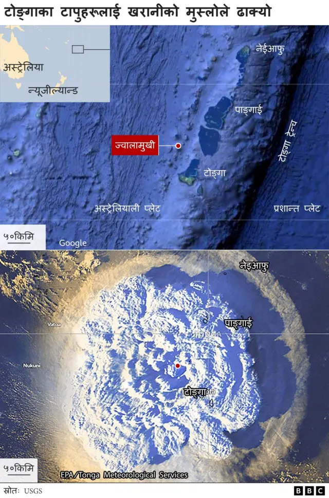 टोङ्गा ज्वालामुखी र सुनामीको प्रभाव