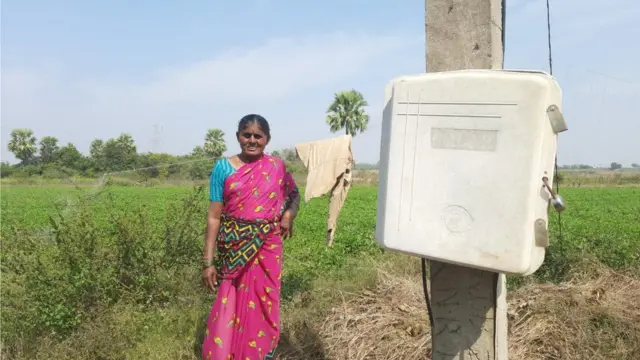 కోతులు పంటలను పాడు చేస్తుండటంతో రైతులు తీవ్రంగా నష్టపోతున్నారు