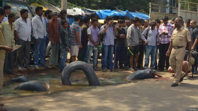 India's unusual protests: Pink underwear, poop and snakes - BBC News