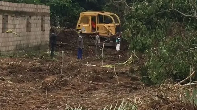 Ọhịa a na-asụchasị