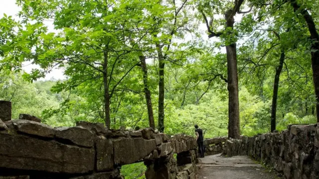 Aksara Viking di pedalaman AS