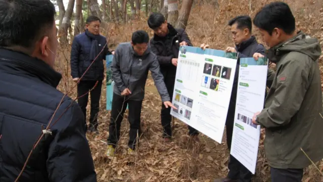 지난해 11월 소나무재선충병 공동방제 협력을위해 방북한 남측 대표단이 북한 개성시 왕건왕릉 주변 소나무림에서 공동방제와 실무협의를 진행했다