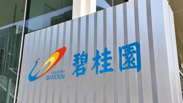 和此前恆大、融創等眾多「爆雷」的大小房企不同，碧桂園在去年房企最危險的時候得以存活。