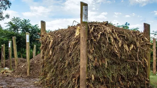 "السماد المعجزة" الذي سيغير مستقبل الزراعة في أفريقيا