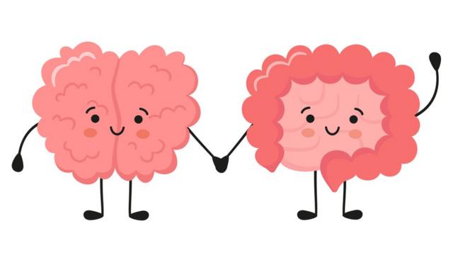 Ilustração simbolizando cérebro e intestinobetmotion roletamãos dadas
