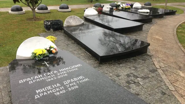 Aleja zaslužnih građana, Dragan Nikolić i Milena Dravić