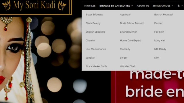 वेबसाइट