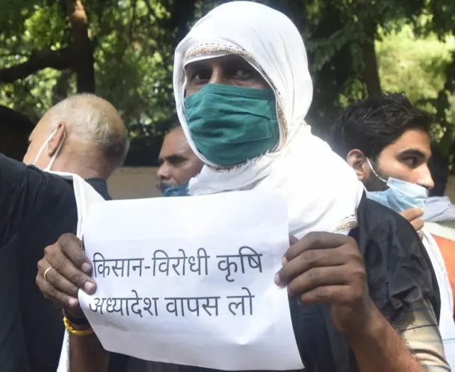 कृषि बिल: क्या पंजाब-हरियाणा के किसानों पर ही है असर, या तस्वीर इससे कहीं अधिक बड़ी है