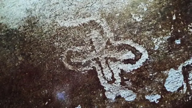 تصویر دم سم کے علاقے میں پائی جانے والی نورتسین کراس