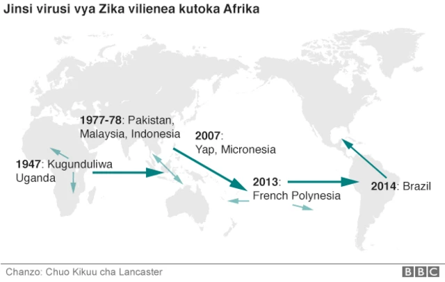 Virusi vya Zika vilivyoenea kutoka Afrika