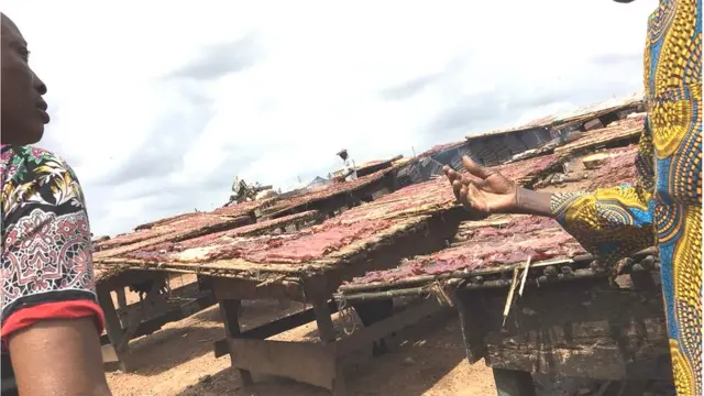 Ẹran ti awọn Alapata fi silẹ salọ