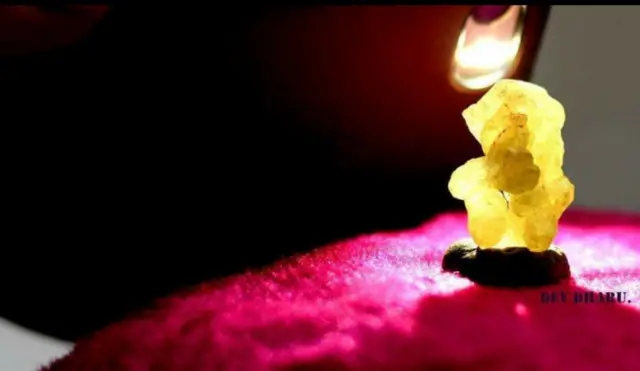 ગણપતિની તસવીર